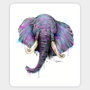 Watercolor elephant Sticker